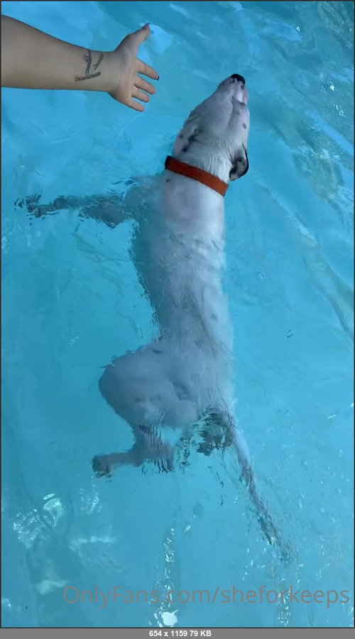 MEGA-FANS – sheforkeeps-10-07-2020-Pup pup doesnt want mom to work