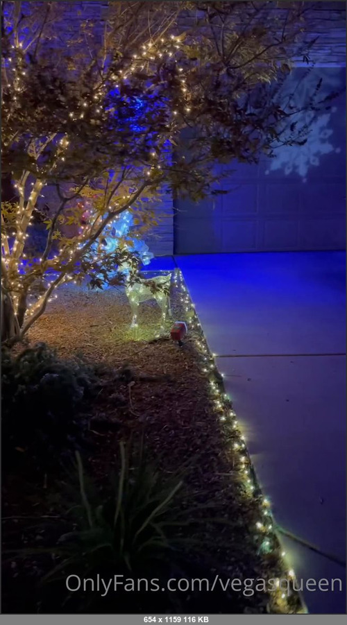 MEGA-FANS – vegasqueen-04-12-2021-Love Christmas time  Went with blue this year