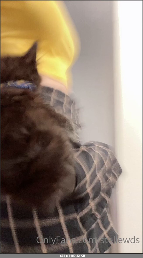 MEGA-FANS – stellewds-06-09-2021-My pocket pussy