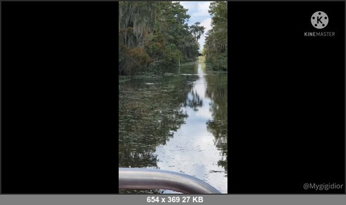 MEGA-FANS – mygigidior 16-08-2021 184678124 Gators, Boats and Bayou Gigi takes New Orleans