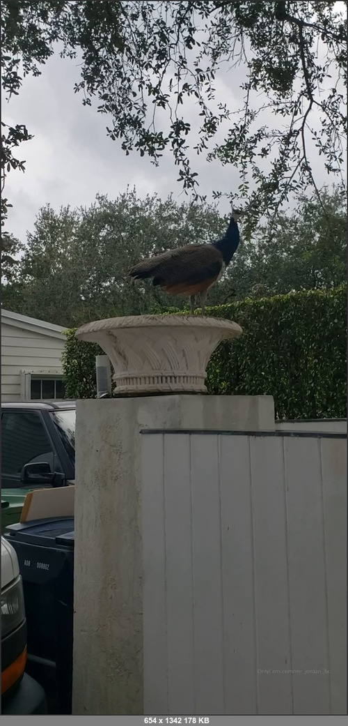 MEGA-FANS – mrjordan3x 21-10-2020 61342122 BTS