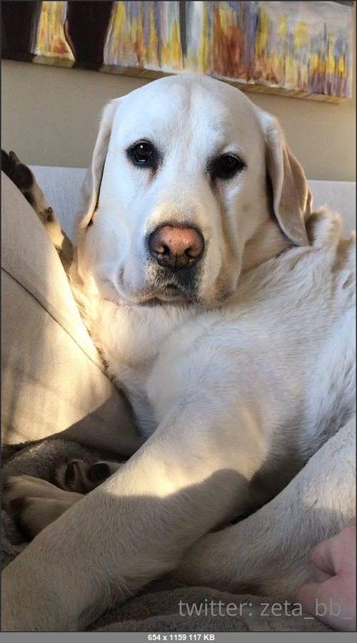 MEGA-FANS – zetabb-11-03-2021-some walter to break up your feed