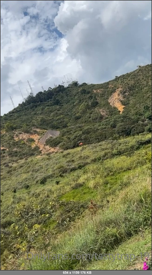 MEGA-FANS – tastytrap-19-12-11-2021-