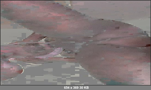 MEGA-FANS – tssexykayla-30-04-2019-Love taking advantage of a hot mouth .MOV