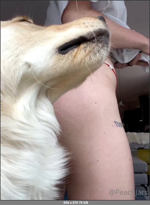 MEGA-FANS – peachjars-21-01-2021-Trying to show yall my bruise but my dog is photo bombing and my pussy cant even stay in my panties  fuck it. Thanks for all the messages checking i