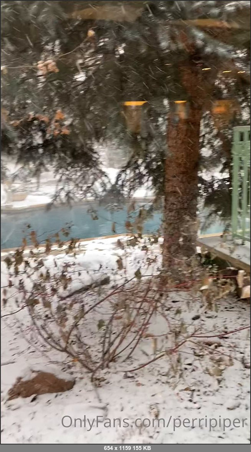 MEGA-FANS – perripiper-03-03-2021-