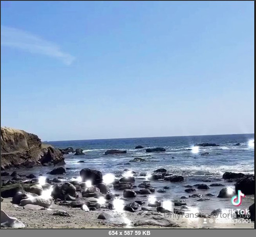 MEGA-FANS – toria369-27-03-2021-