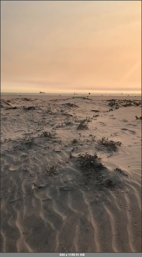 MEGA-FANS – shantalmonique-10-11-2018-Smokey sky