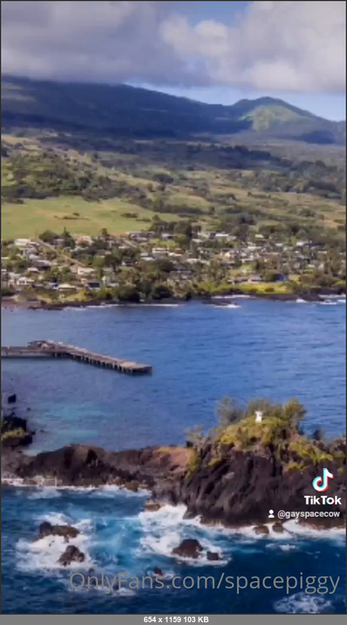 MEGA-FANS – spacepiggy 24-05-2021 149706468 Follow me on TT gayspacecow