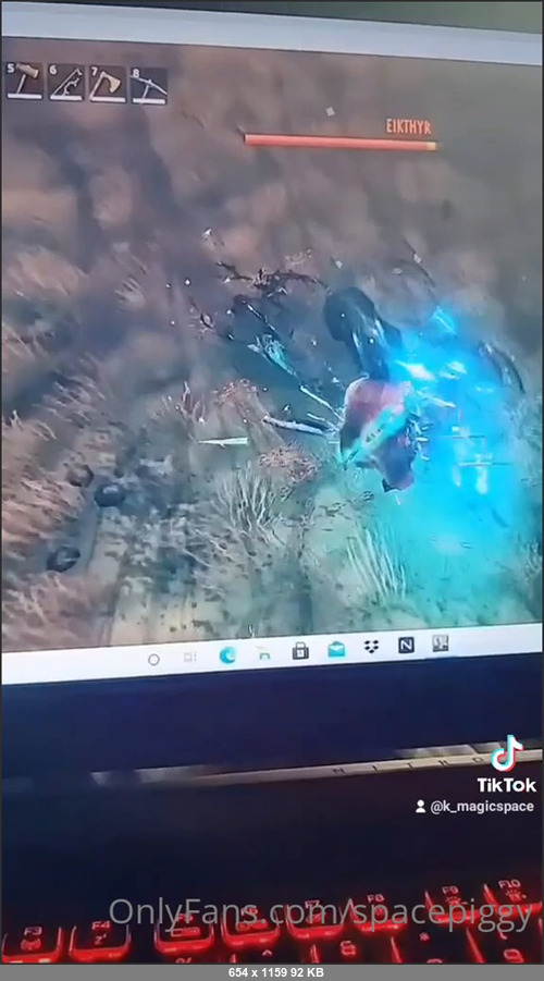 MEGA-FANS – spacepiggy 25-04-2021 139309511 Just some Valheim