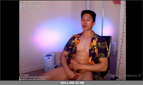 MEGA-FANS – tylerwu97-20-04-2021-Chaturbate recording from three weeks ago  I put on my pineapple t shirt for this one, thank Ralph for the wish list gift  I had my lush toy (live control butt