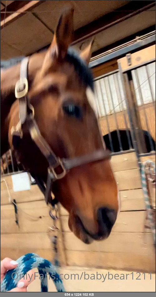 MEGA-FANS – babybear1211-17-02-2022-whats your day jobs like the boarding facility, I do all the un fun stuff required to do when owning a horse. EX Mucking stalls, picking hooves, turn in