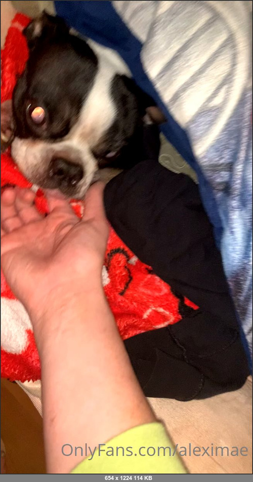 MEGA-FANS – aleximae-25-01-2021-Guys my dog is sick af. You might not be able to tell from just this video but he can barely walk and is cold  ( Im so scared and sad rn. Hes my best friend I dont