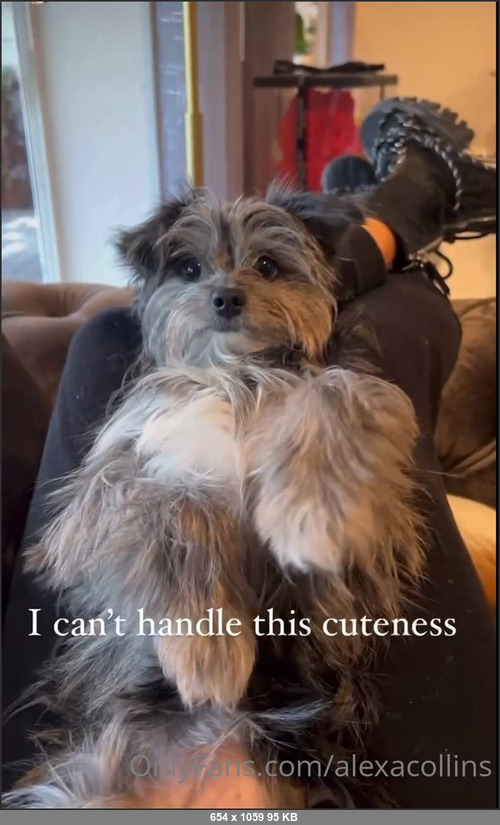 MEGA-FANS – alexacollins-05-11-2021-