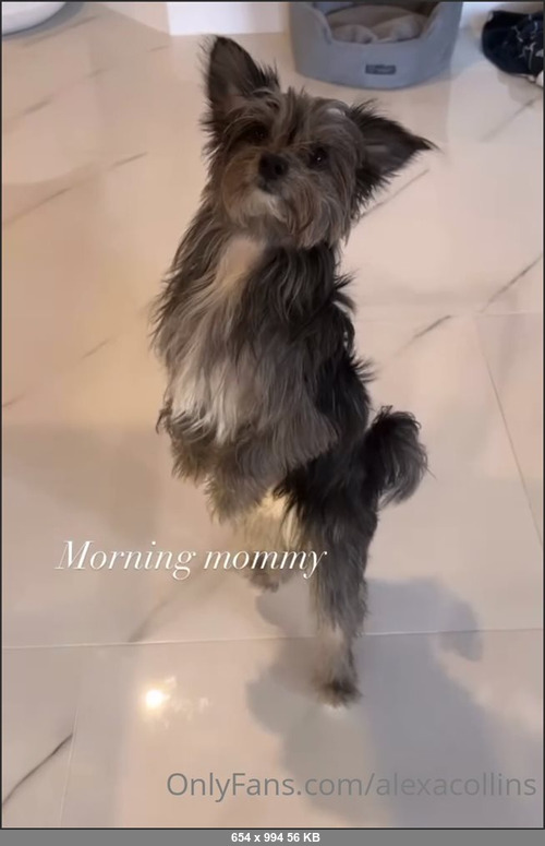 MEGA-FANS – alexacollins-11-11-2021-