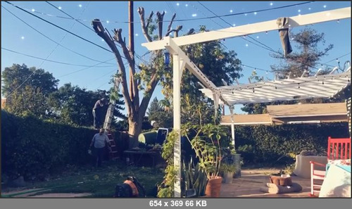 MEGA-FANS – sophiedeelive 12-10-2017 638781