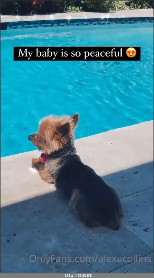 MEGA-FANS – alexacollins-24-03-2021-