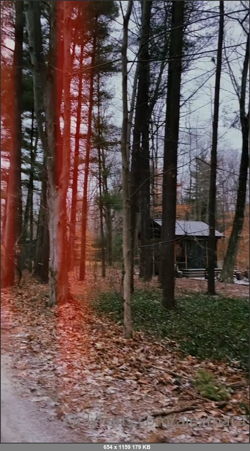 MEGA-FANS – alexmara-16-12-2020-Nature is so healing sometimes when you feel overwhelmed go get some fresh air, be in the wilderness, or look up at the sky and think. Allow the universe to rekindle your