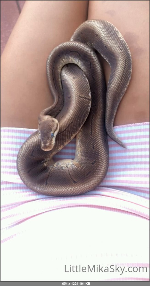 MEGA-FANS – mikaskyfree 06-09-2021 211212566126 Monday snake time Heres Heiro, warming up my lap with his slithery, muscle y goodness
