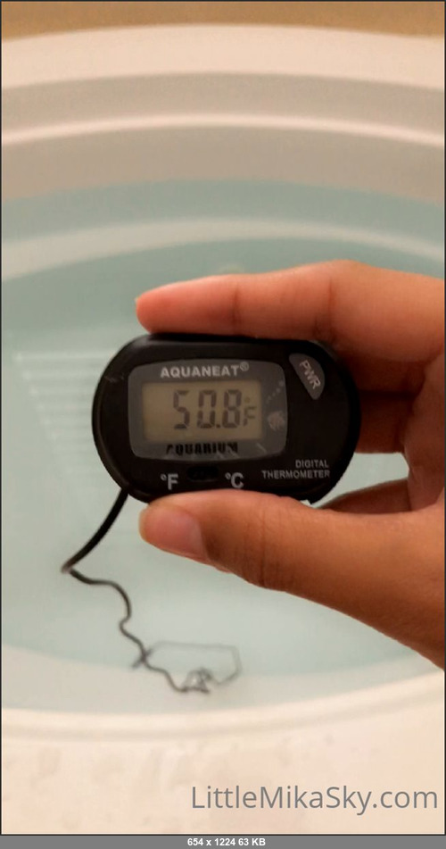 MEGA-FANS – mikaskyfree 25-08-2021 198255711497 Do you have an unusual fun fact for yourself too, daddy Please let me know.