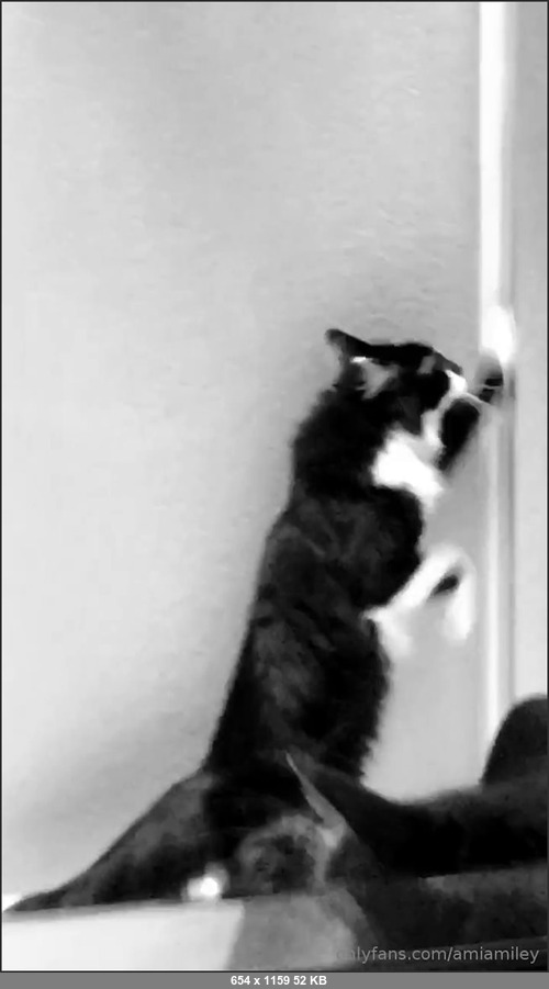 MEGA-FANS – amiamiley-08-02-2019-)