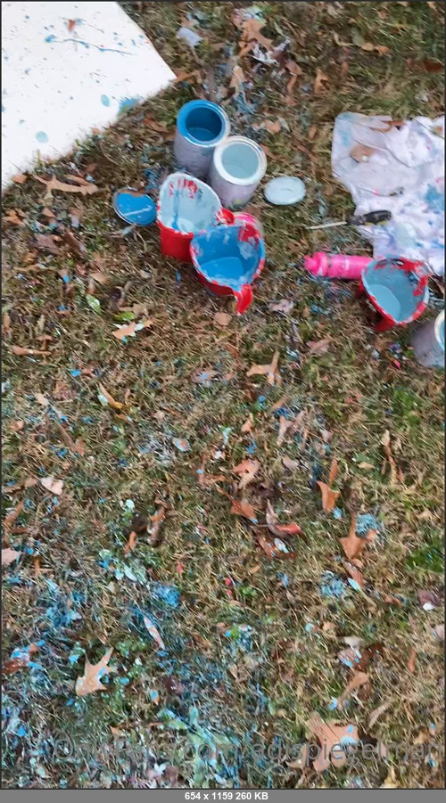 MEGA-FANS – adispiegelman-25-11-2020-Mmmm and done  What do you think