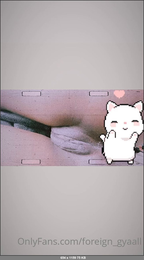 MEGA-FANS – u114375172 01-06-2021 152724843 Phat