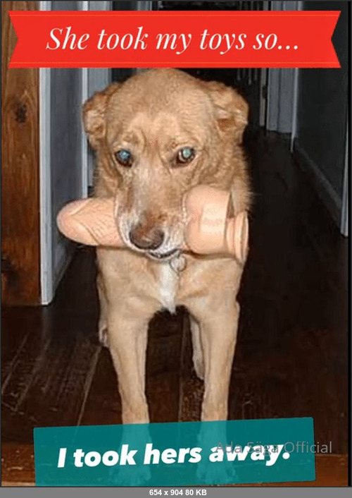 MEGA-FANS – adasaga-09-12-2021-Sleep well