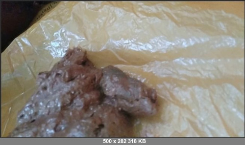 Extreme Scat Porn Site 1- fdd1641