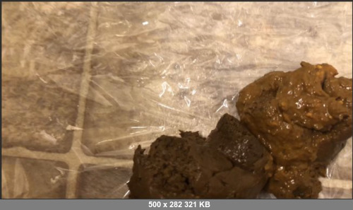 Extreme Scat Porn Site 1- TinaAmazon – Naughty dream pooping then masturbating