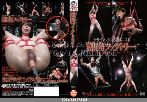 Jav__SiteRip- ADV-SR0048 Slave Meat Climber Disk Factory Tsu Digest