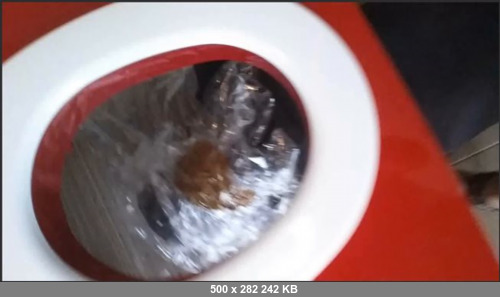 Extreme Scat Porn Site 1- Lady_Milena_24h_mit_Schei_e_im_Gesicht_HD-720p