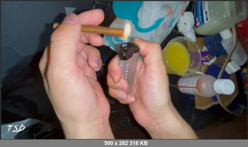 Extreme Scat Porn Site 1- TSD Queen Devils Nasty Anal Sex