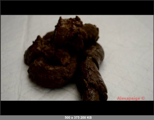 Extreme Scat Porn Site 1- DirtyScatlVZ011