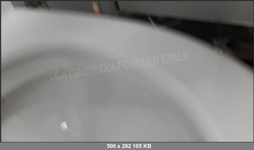 Extreme Scat Porn Site 1- orning_poop_in_the_toilet