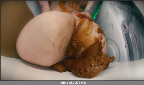 Extreme Scat Porn Site 1- Have you sniffed female poop with DirtyBetty