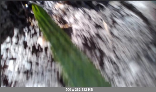 Extreme Scat Porn Site 1- 002_7_Outdoor_Pooping_Moments_With_Goddesslucy__extremalscat.com