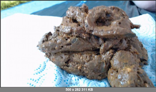 Extreme Scat Porn Site 1- 23-SC-Spankmepink_Close_Twerk_and_S.hit.1080p