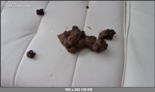 Extreme Scat Porn Site 1- ScatViddz311253