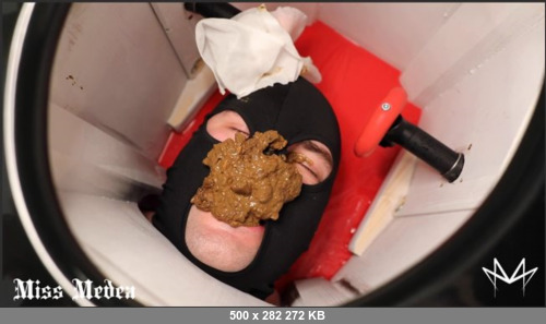 Extreme Scat Porn Site 1- 2 Strict Mistresses train a Beginner Toilet