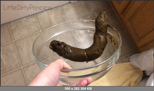 Extreme Scat Porn Site 1- LittleDirtyPrincess – Pooping a long thick one into a bowl in my bedroom