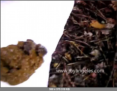 Extreme Scat Porn Site 1- Joyangeles309