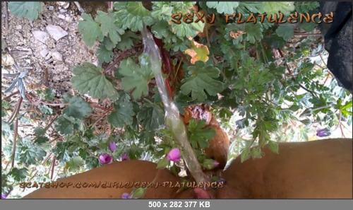 Extreme Scat Porn Site 1- SexyFlatulence – Forrest Dump