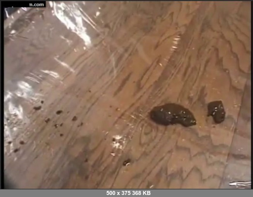 Extreme Scat Porn Site 1- 03Smeared_with_Her_Own_Poop_
