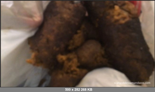 Extreme Scat Porn Site 1- cat_Goddess_Amanda_Bad_Dog_Poo_Poo_Surprise