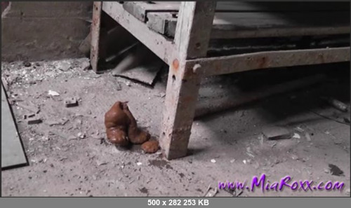 Extreme Scat Porn Site 1- Abandoned