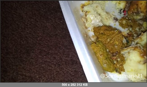 Extreme Scat Porn Site 1- ooping_on_Pre-Thanksgiving_Food