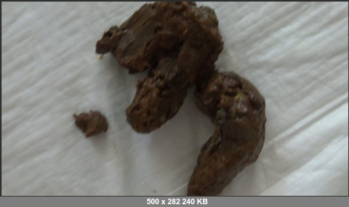 Extreme Scat Porn Site 1- egan_Ultimate_Shitting