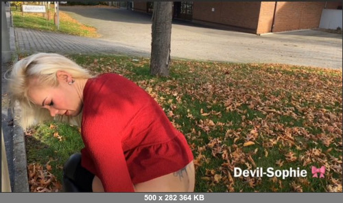 Extreme Scat Porn Site 1- Devil Sophie aka SteffiBlond – And from the post P Today my sausage is traveling
