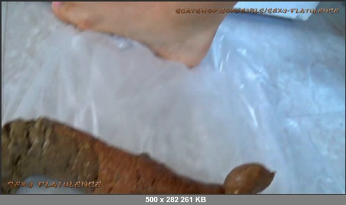 Extreme Scat Porn Site 1- exyFlatulence_Monster_Log